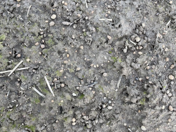 Buckshot soil.