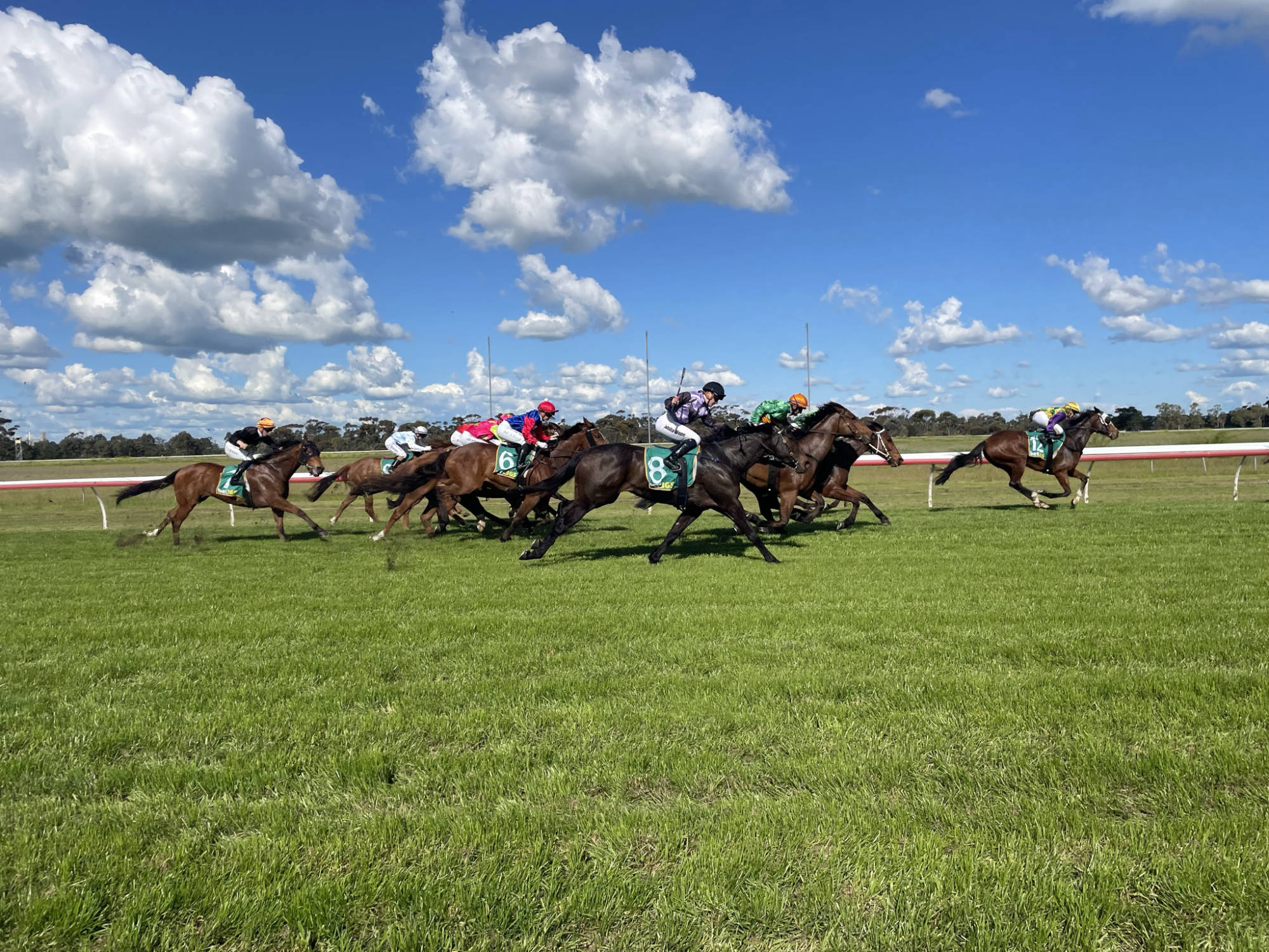Horse races at Murtoa.