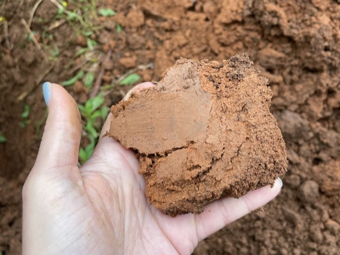 Loam soil.