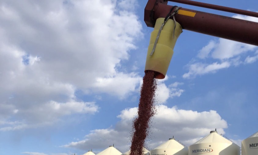 Seed treatment