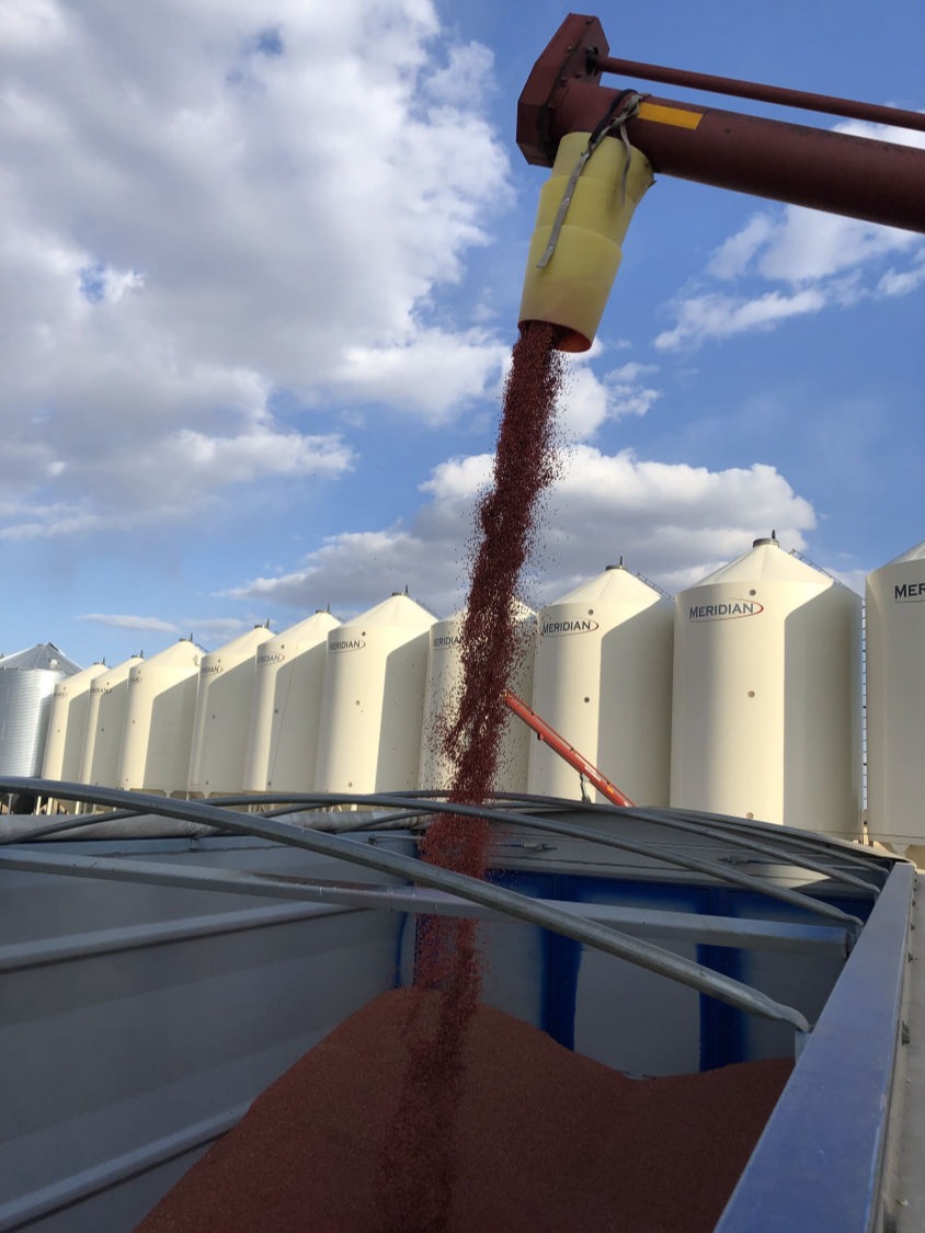Seed treatment